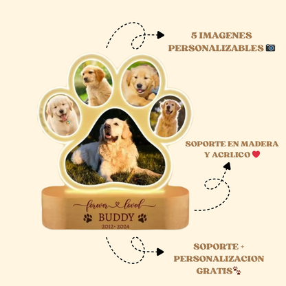 Lampara Memorial - MemoriPaw®
