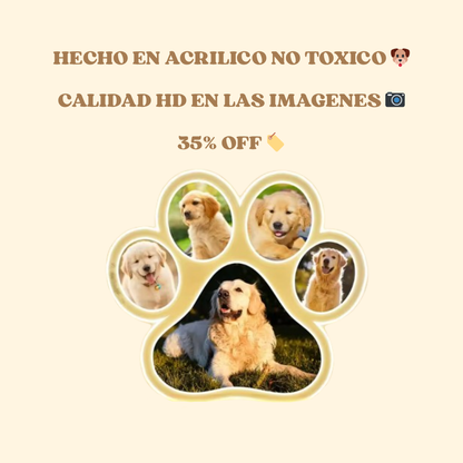 Lampara Memorial - MemoriPaw®