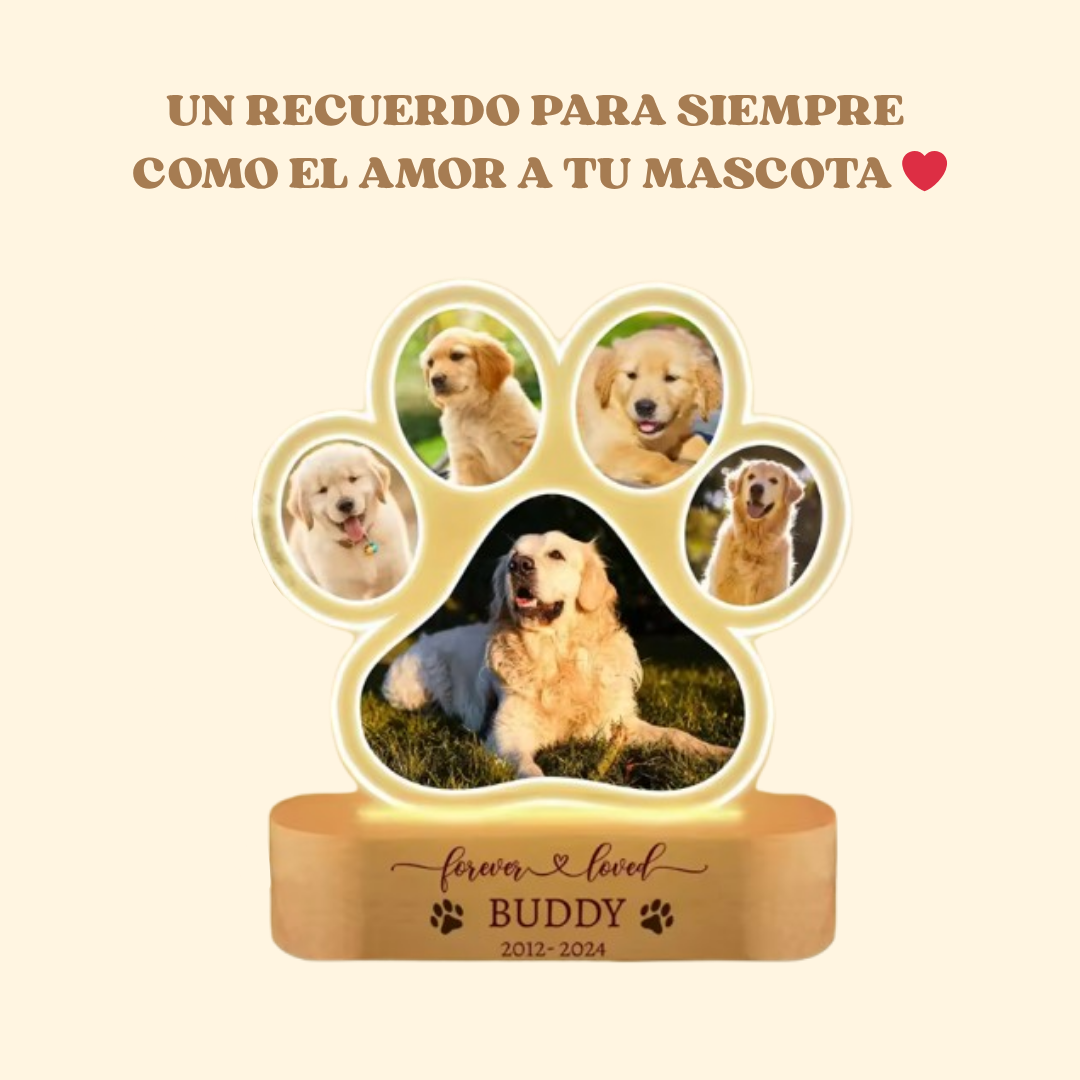 Lampara Memorial - MemoriPaw®